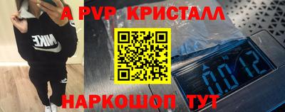 спиды Камышлов