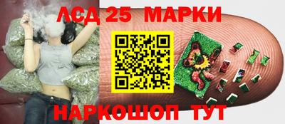 a pvp Кандалакша