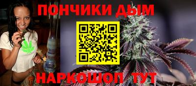 спиды Камышлов