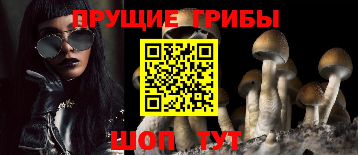 Галлюциногенные грибы Magic Shrooms Полысаево