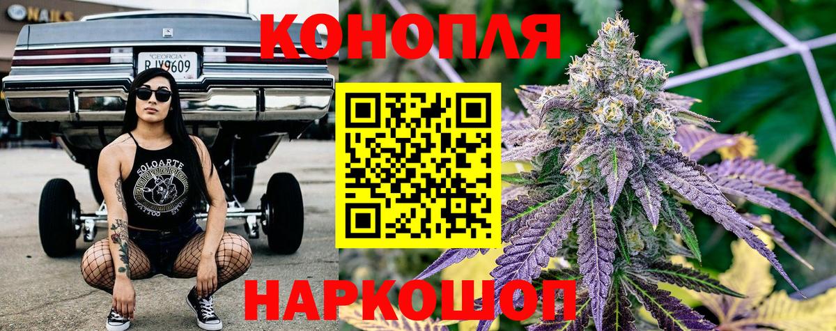 Конопля планчик Полысаево
